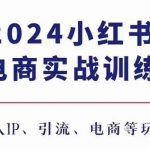 2024小红书电商3.0实战训练，包含个人IP、引流、电商等玩法