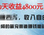 萌宠赛道赚钱秘籍：AI宠物兔视频详细拆解，9天收益4.8k