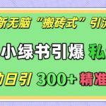 最新无脑“搬砖式”引流术，小绿书引爆私域圈，全自动日引300+精准创业粉【揭秘】