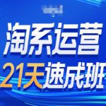 淘系运营21天速成班第34期-搜索最新玩法和25年搜索趋势