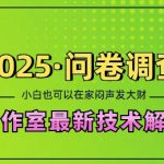 2025问卷调查最新工作室技术解密：一个人在家也可以闷声发大财，小白一天2张，可矩阵放大【揭秘】