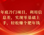 年底冷门项目，利用信息差，实现零基础上手，轻松赚个肥年钱【揭秘】