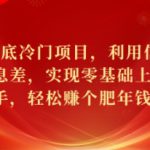 年底冷门项目，利用信息差，实现零基础上手，轻松赚个肥年钱【揭秘】