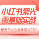 小红书聚光零基础实战，聚光平台投放课程从0到1