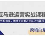 亚马逊运营实战课程，亚马逊从入门到精通，性价比高，相当于市面万元以上元课程