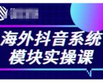 海外抖音Tiktok系统模块实操课，TK短视频带货，TK直播带货，TK小店端实操等