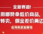 全新赛道，利用嘟赞拿低价商品，然后去闲鱼转卖佣金，差价两边赚，会网购就能挣钱