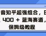 抖音知乎超强组合，日入4张， 蓝海赛道，保姆级教程