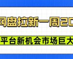 豆包网盘拉新，一周2k，新平台新机会