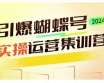 引爆蝴蝶号实操运营，助力你深度掌握蝴蝶号运营，实现高效实操，开启流量变现之路