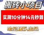 搬砖小项目，实测10分钟14元秒到，每天稳定几张(赠送必看稳定)