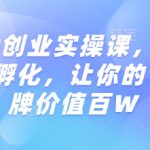 知识IP创业实操课，从0到1快速孵化，让你的个人品牌价值百W