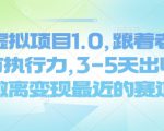 闲鱼虚拟项目1.0，跟着老手操作，有执行力，3-5天出收益，做离变现最近的赛道