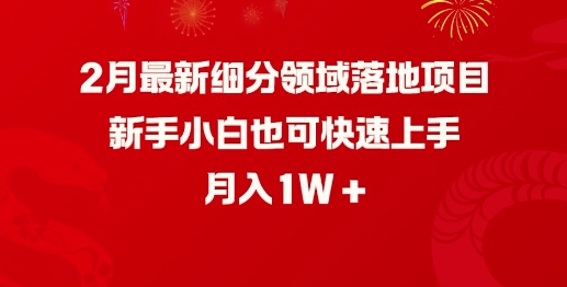 2月最新细分领域落地项目，新手小白也可快速上手，月入1W