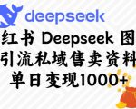 小红书Deepseek图文引流私域售卖资料，单日变现多张