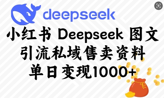 小红书Deepseek图文引流私域售卖资料，单日变现多张-就爱副业网