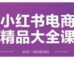 小红书电商精品大全课，快速掌握小红书运营技巧，实现精准引流与爆单目标，轻松玩转小红书电商