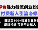 交友平台暴力截流创业粉玩法，知识付费新人引流必修课，日稳定300+精准创业粉丝，逻辑相通可多平台放大