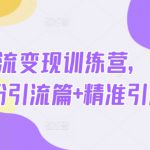 热点引流变现训练营，先导篇+泛粉引流篇+精准引流篇