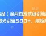 【引流必备】全网首发咸鱼引流黑科技，单日曝光引流500+，附矩阵玩法【揭秘】