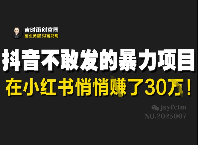 抖音不敢发的暴利项目，在小红书悄悄挣了30W