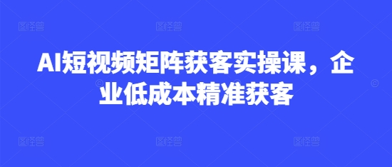 AI短视频矩阵获客实操课，企业低成本精准获客