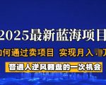 2025蓝海项目，普通人如何通过卖项目，实现月入过W，全过程【揭秘】