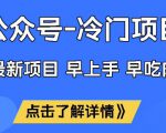 公众号冷门赛道，早上手早吃肉，单月轻松稳定变现1W【揭秘】